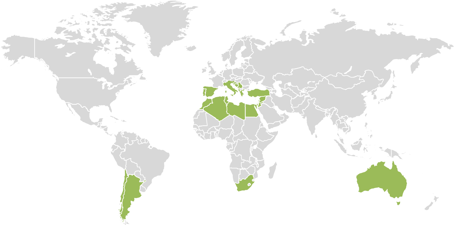 la nuova geografia dell'olio