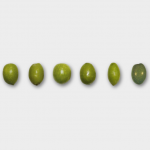 Olio di Oliva: Il Ricco Patrimonio Genetico Italiano